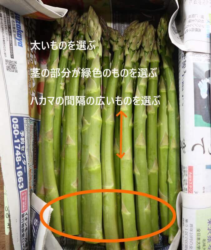 asparagus-keep-6-1